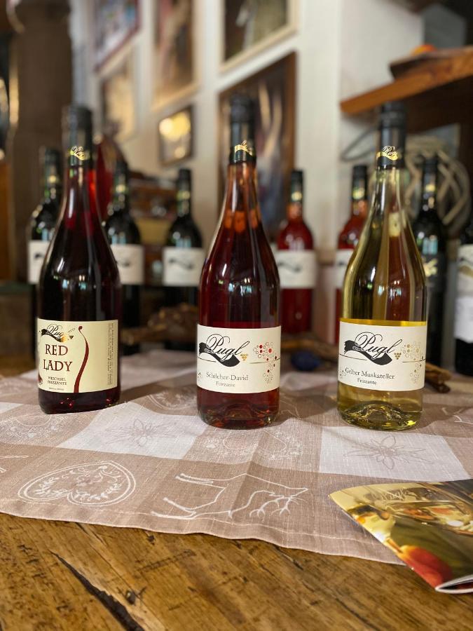 Weingut Pugl Lägenhet Leibnitz Exteriör bild