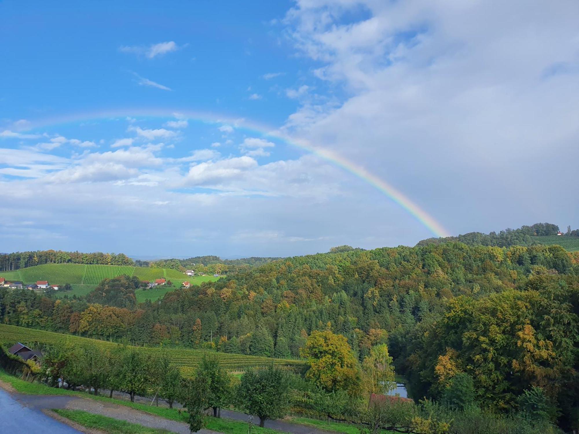 Weingut Pugl Lägenhet Leibnitz Exteriör bild