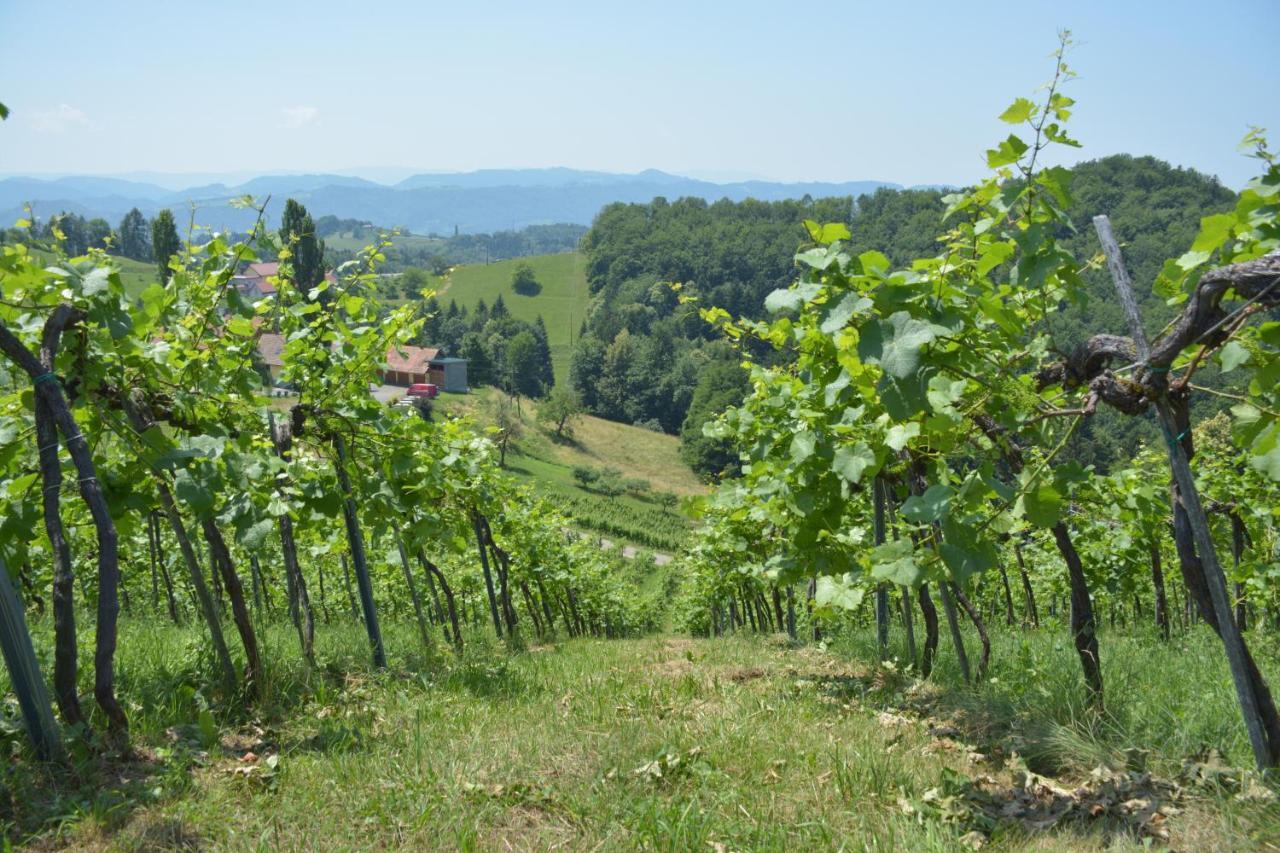 Weingut Pugl Lägenhet Leibnitz Exteriör bild